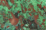 Chrysocolla & Malachite Slab From Arizona - Clear Coated #119757-1